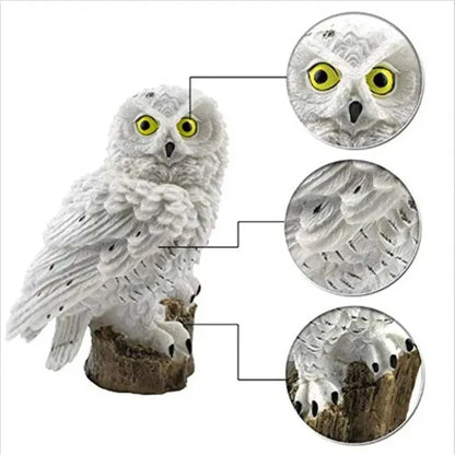 Buho solar LED™ - MAGICNIGHT
